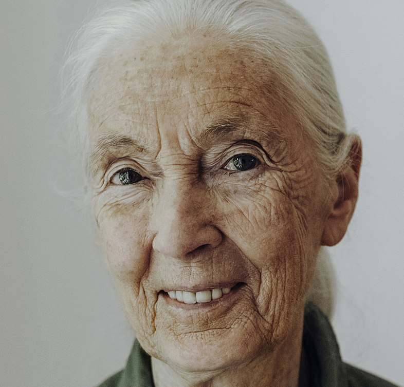 Jane Goodall