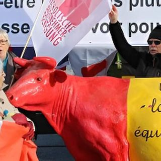 Unsere Kampagnen: Fairer Freihandel